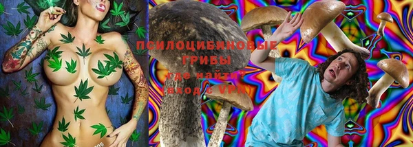 МДПВ Кукмор