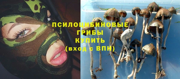 МДПВ Кукмор