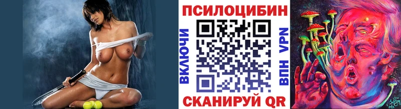 Купить где  Горбатов  Псилоцибиновые грибы Psilocybine cubensis 